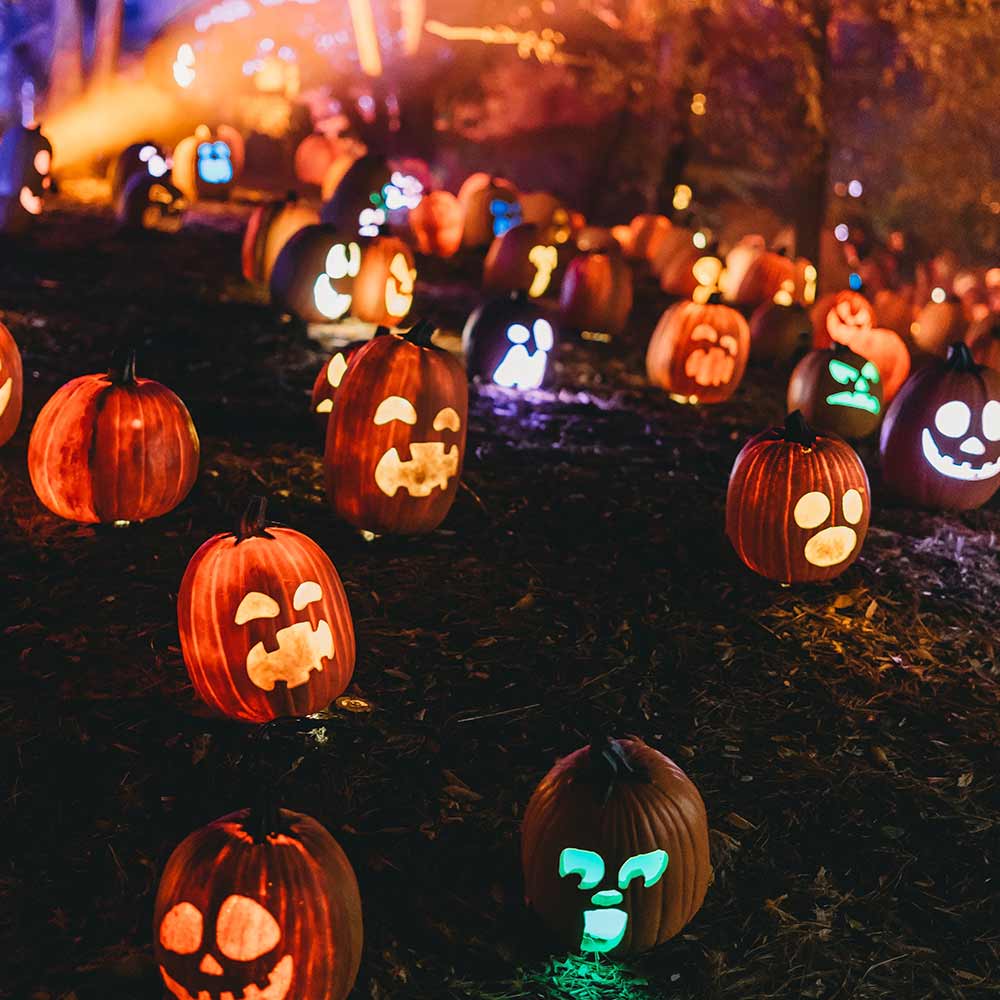 halloween-party-promo-6